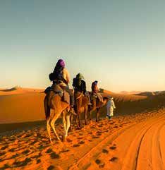 Dubái y Abu Dhabi al completo — Categoría A
