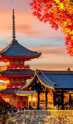 Japón al completo — Categoría A