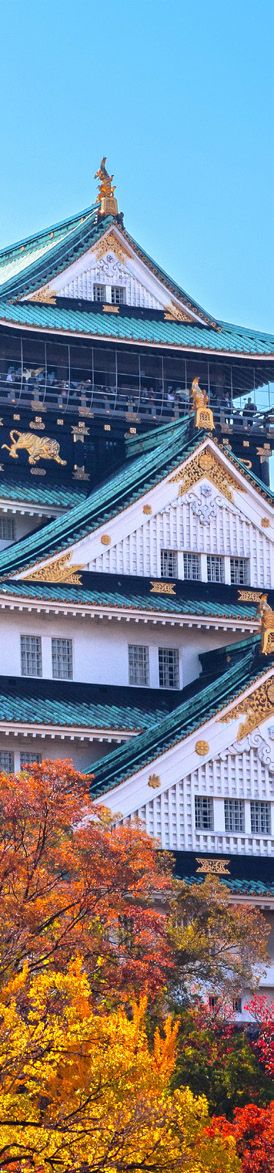 China, Japón y Corea para todos — Categoría A