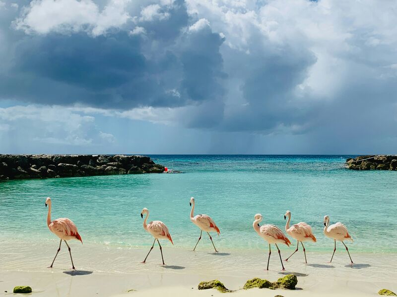 Viajes a Aruba